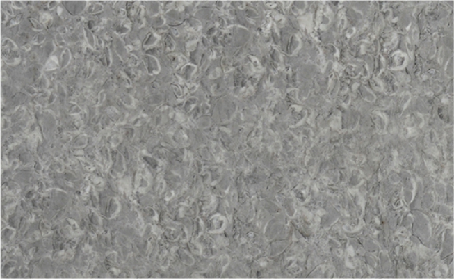 Grey Fossil